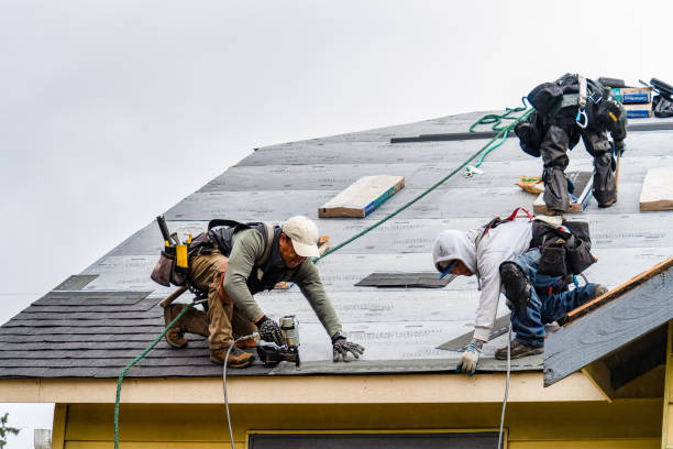Professional Roof Replacement technician working in Manton, CA